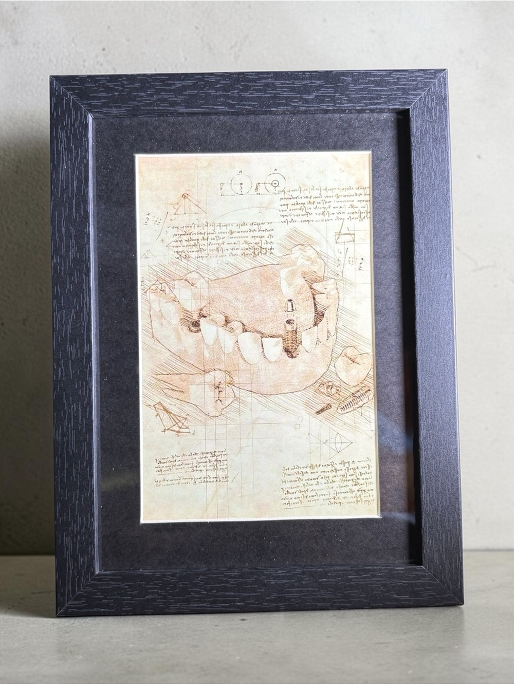 Vintage Dental Anatomy Framed Art 5x7 Da Vinci Style Medical Decor